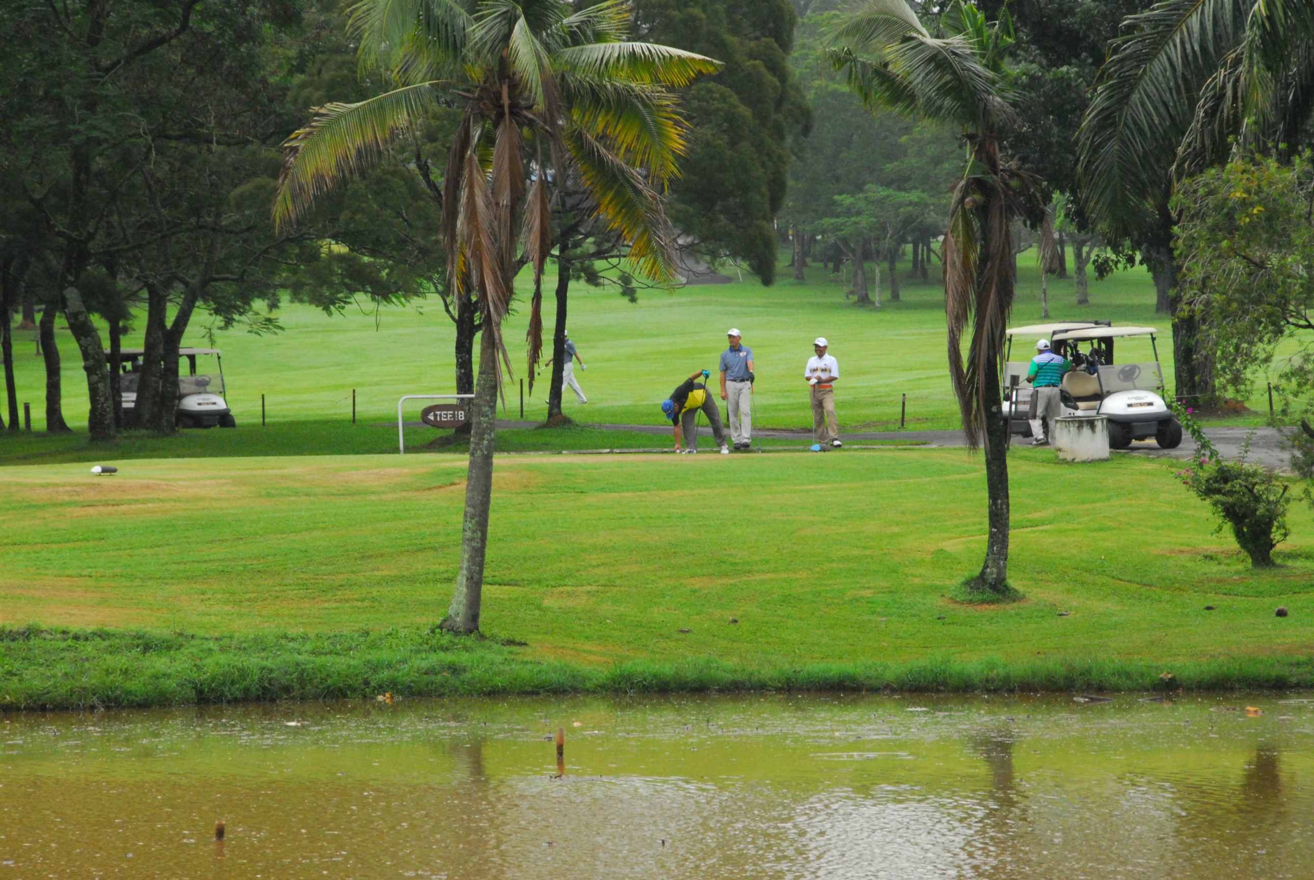 PRO15 157 GOLF DSC 0153.JPG